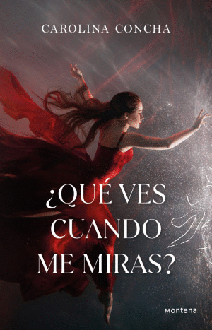 QUE VES CUANDO ME MIRAS