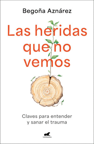 LAS HERIDAS QUE NO VEMOS