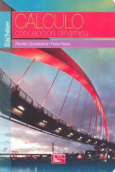 CALCULO CONCEPCION DINAMICA