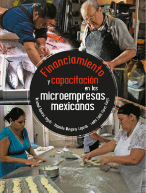 FINANCIAMIENTO Y CAPACITACION EN LAS MICROEMPRESAS MEXICANAS