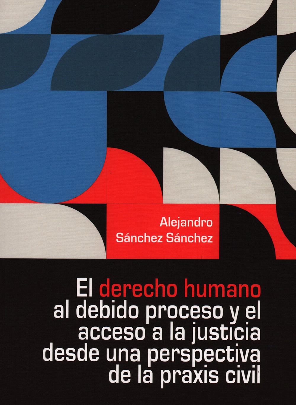 DERECHO HUMANO AL DEBIDO PROCESO Y EL ACCESO A LA JUSTICIA DESDE UNA PERSPECTIVA DE LA PRAXIS CIVIL EL