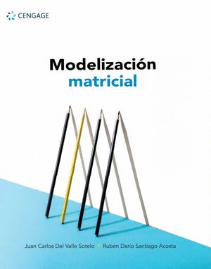 MODELIZACION MATRICIAL