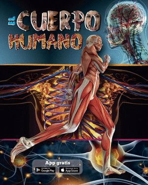 CUERPO HUMANO EL