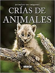 ANIMALES EN IMAGENES CRIAS DE ANIMALES