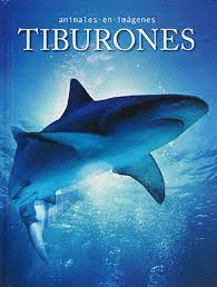 ANIMALES EN IMAGENES TIBURONES