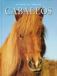 ANIMALES EN IMAGENES CABALLOS