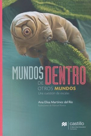 MUNDOS DENTRO DE OTROS MUNDOS