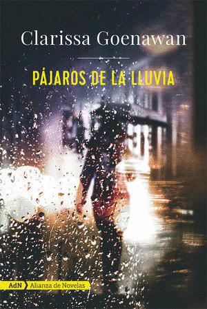 PAJAROS DE LA LLUVIA