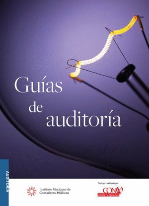 GUIAS DE AUDITORIA (VERSION PROFESIONAL)