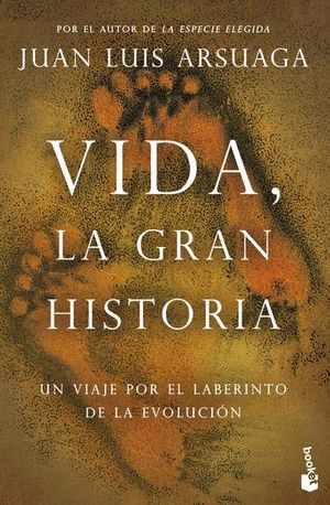 VIDA LA GRAN HISTORIA