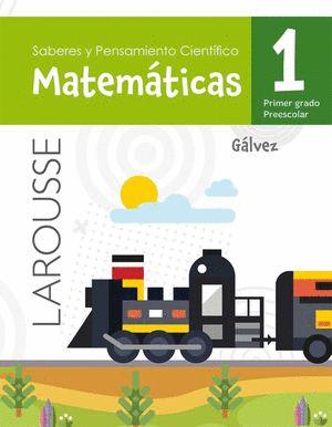 SABERES Y PENSAMIENTO CIENTIFICO MATEMATICAS 1