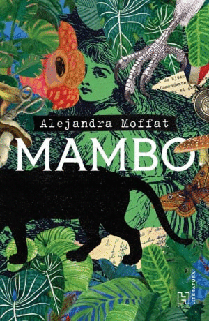 MAMBO