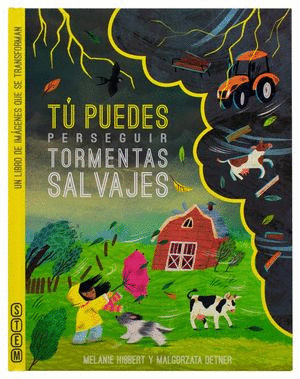 TU PUEDES PERSEGUIR TORMENTAS SALVAJES     PD