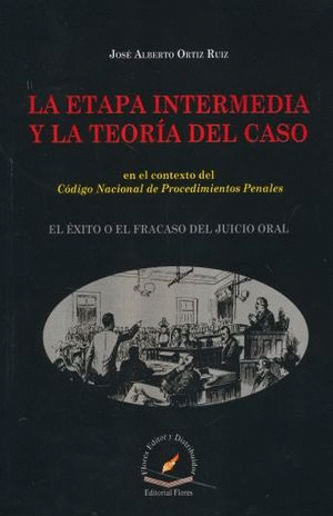ETAPA INTERMEDIA Y TEORIA DEL CASO GENERALIDADES