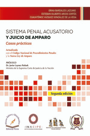 SISTEMA PENAL ACUSATORIO Y EL JUICIO DE AMPARO EL