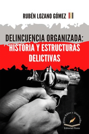 DELINCUENCIA ORGANIZADA