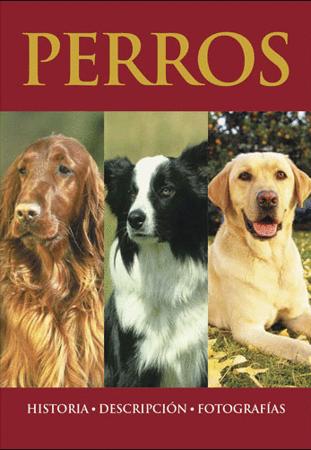 PERROS