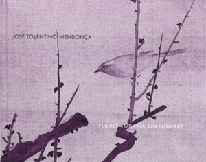 FLORES TODAVIA SIN NOMBRE