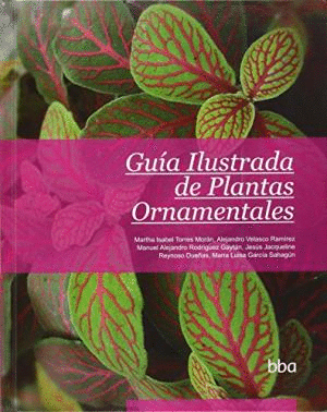 GUIA ILUSTRADA DE PLANTAS ORNAMENTALES