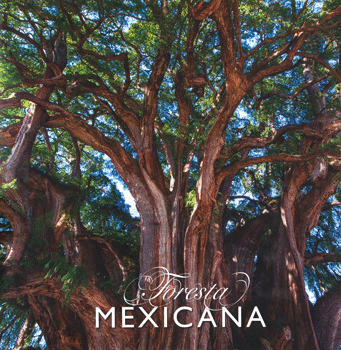 FORESTA MEXICANA