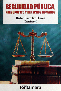 SEGURIDAD PUBLICA