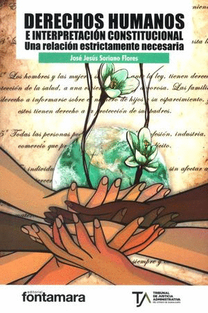 DERECHOS HUMANOS E INTERPRETACION CONSTITUCIONAL