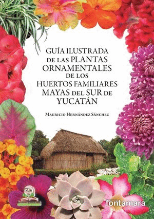 GUIA ILUSTRADA DE LAS PLANTAS ORNAMENTALES DE LOS HUERTOS FAMILIARES MAYAS DEL SUR DE YUCATAN