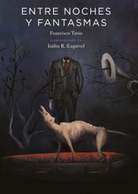 ENTRE NOCHES Y FANTASMAS