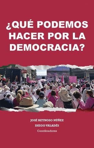 QUE PODEMOS HACER POR LA DEMOCRACIA