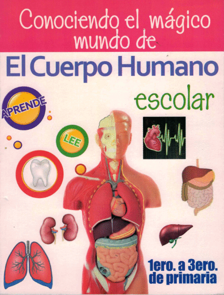 CUERPO HUMANO ESCOLAR 1 ERO A 3 ERO PRIMARIA