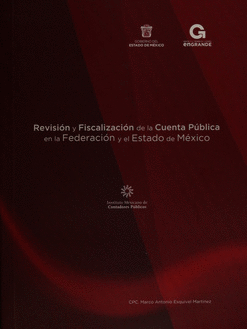 REVISION Y FISCALIZACION DE LA CUENTA PUBLICA EN LA FEDERACION Y EL ESTADO DE MEXICO