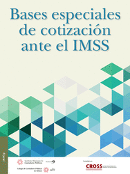 BASES ESPECIALES DE COTIZACION ANTE EL IMSS    EBOOK