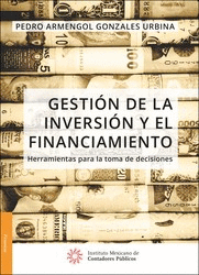 GESTION DE LA INVERSION Y EL FINANCIAMIENTO   EBOOK