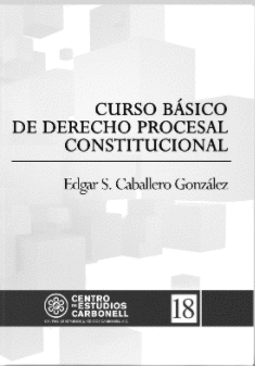 CURSO BASICO DE DERECHO PROCESAL CONSTITUCIONAL