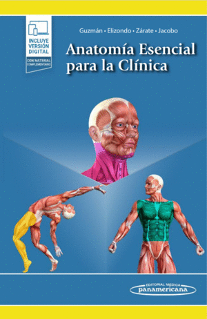 ANATOMIA ESENCIAL PARA LA CLINICA