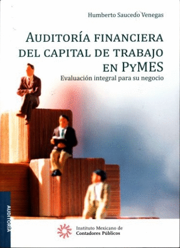 AUDITORIA FINANCIERA DEL CAPITAL DE TRABAJO EN PYMES