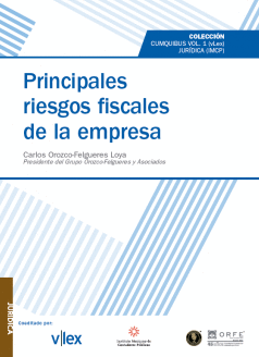 PRINCIPALES RIESGOS FISCALES DE LA EMPRESA