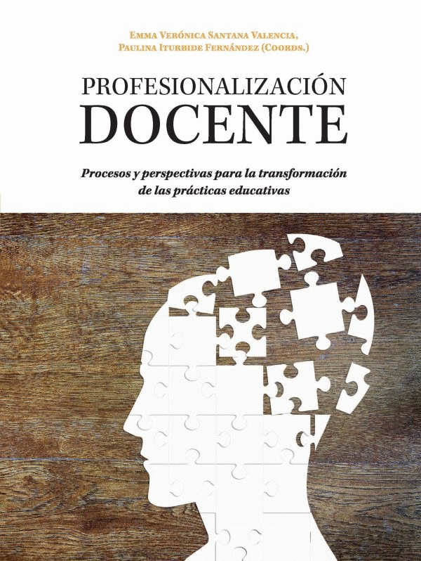 PROFESIONALIZACION DOCENTE