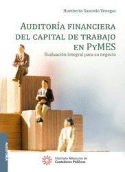 AUDITORIA FINANCIERA DEL CAPITAL DE TRABAJO EN PYMES   EBOOK