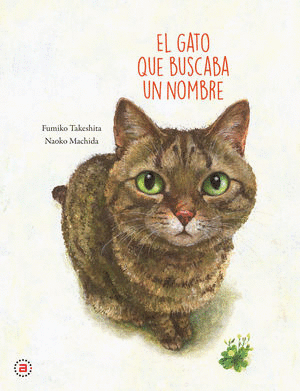 GATO QUE BUSCABA UN NOMBRE