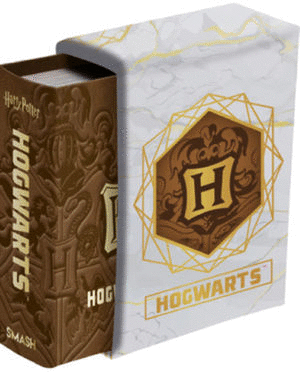 HARRY POTTER HOGWARTS  PD  MINI LIBRO