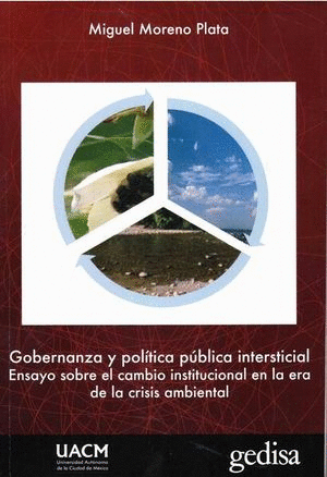 GOBERNANZA Y POLITICA PUBLICA INTERSTICIAL