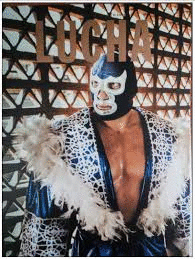 A TRIBUTE LUCHA