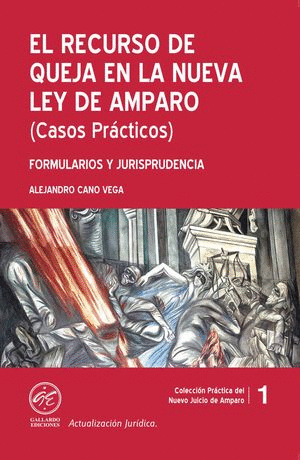 EL RECURSO DE QUEJA EN LA NUEVA LEY DE AMPARO (CASOS PRACTICOS) 2025