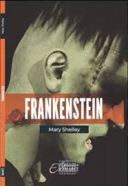 FRANKENSTEIN (RESUMEN)