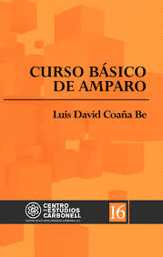 CURSO BASICO DE AMPARO