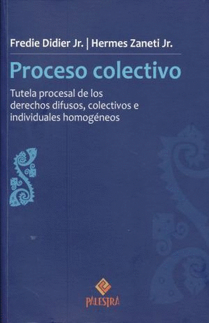 PROCESO COLECTIVO
