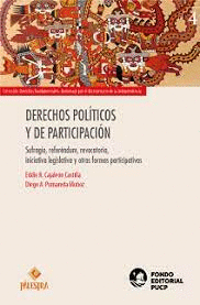DERECHOS POLITICOS Y DE PARTICIPACION