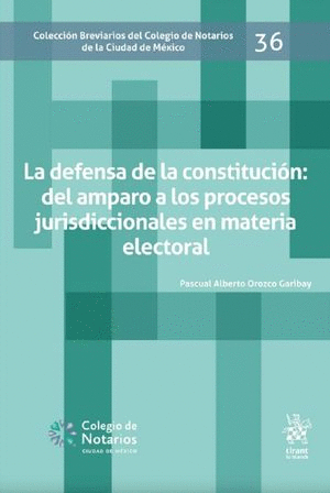 LA DEFENSA DE LA CONSTITUCION EL AMPARO A LOS PROCESOS JURISDICCIONALES EN MATERIA ELECTORAL