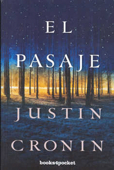 PASAJE EL (BOLSILLO)